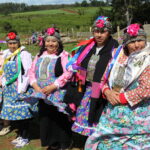 Pueblo mapuche 5