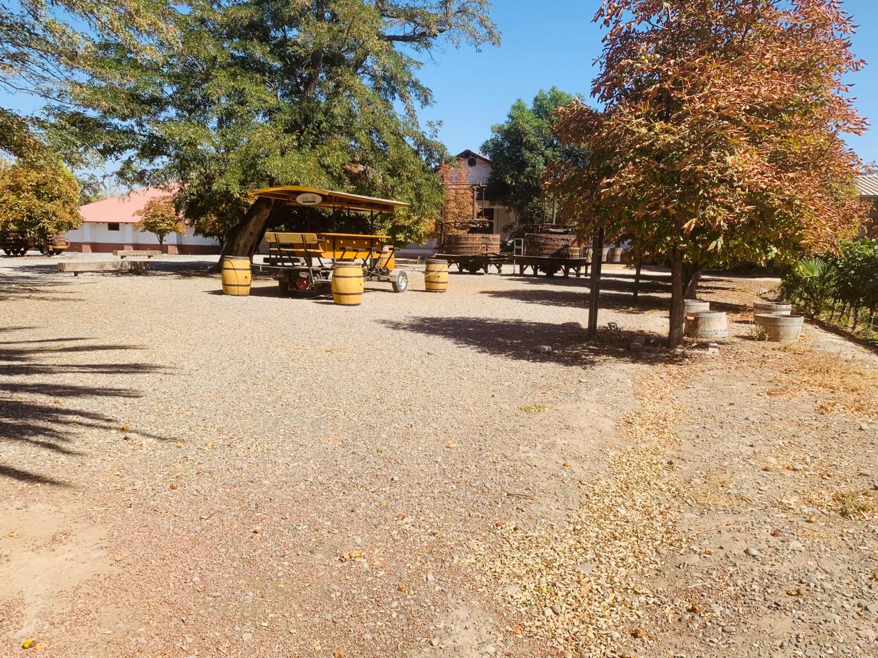 WhatsApp Image 2025-06-16 at 11.55.30 PM