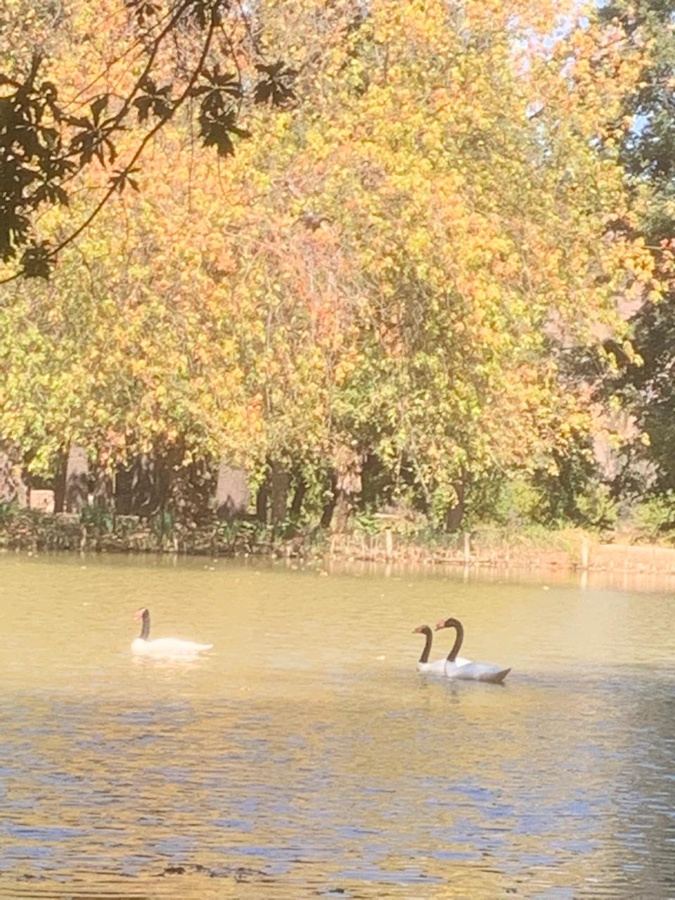 WhatsApp Image 2025-06-16 at 11.55.32 PM (2)