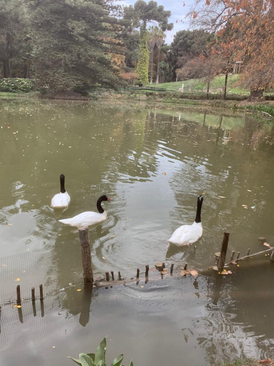 WhatsApp Image 2025-06-16 at 11.55.34 PM