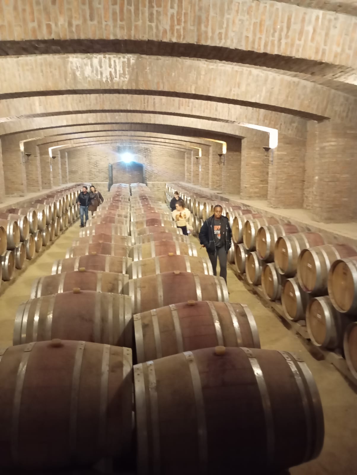 WhatsApp Image 2025-06-17 at 1.09.41 AM (1)