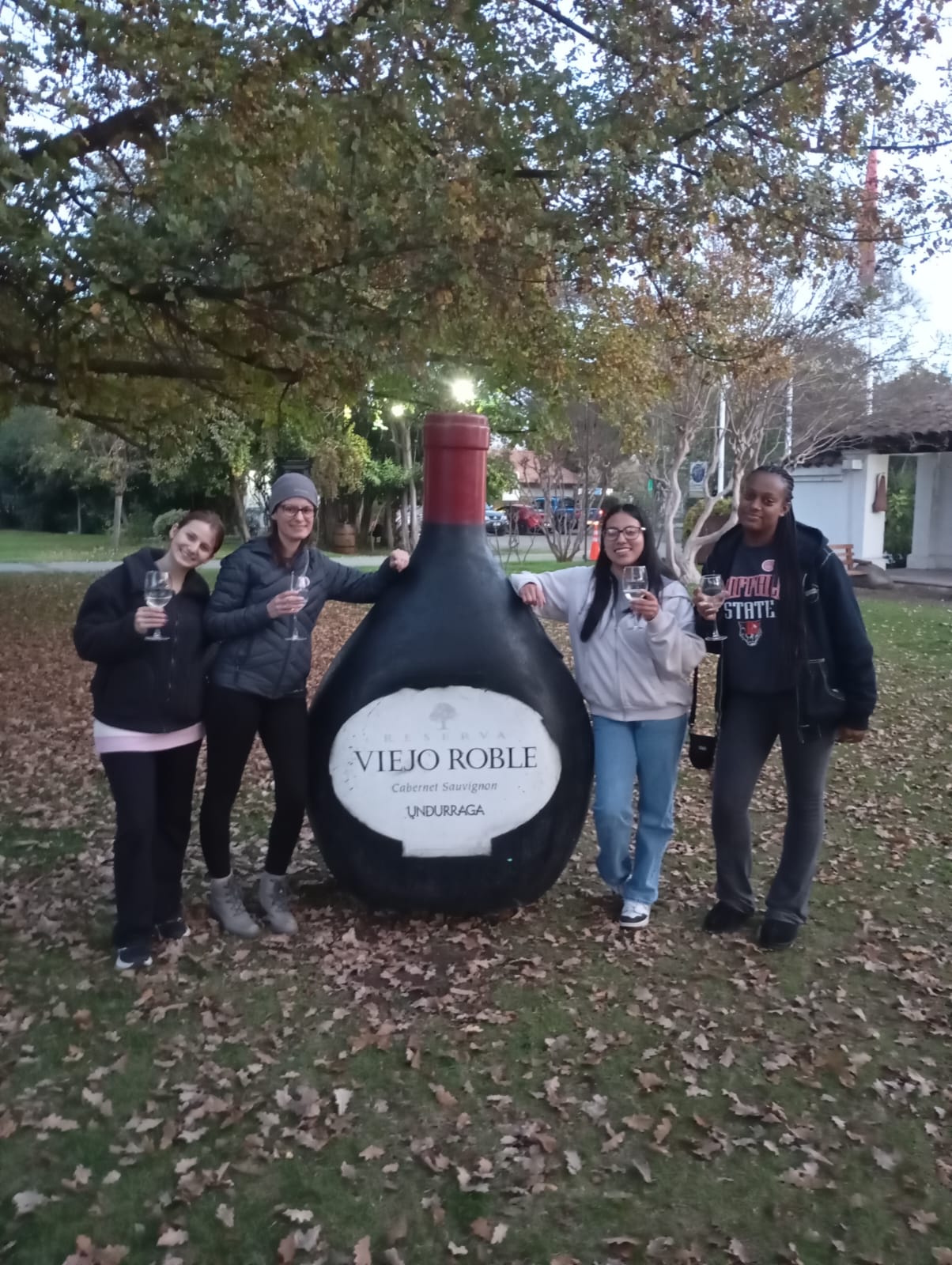 WhatsApp Image 2025-06-17 at 1.09.42 AM (3)