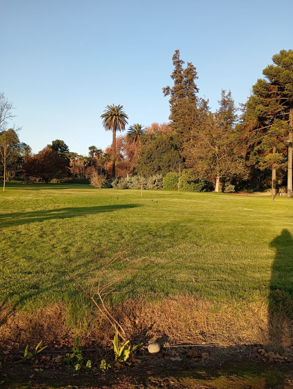 WhatsApp Image 2025-06-17 at 1.09.43 AM (1)