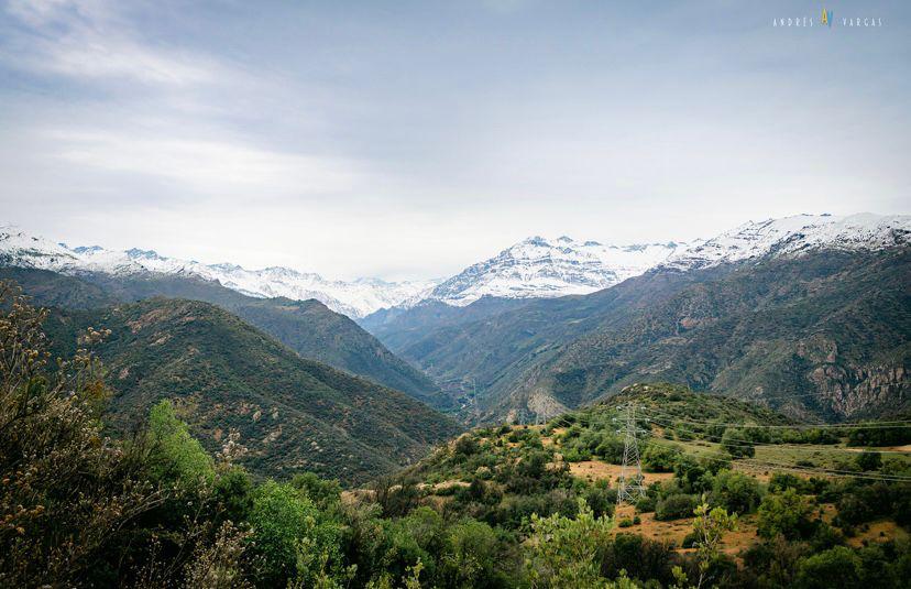 WhatsApp Image 2025-06-18 at 11.19.47 PM