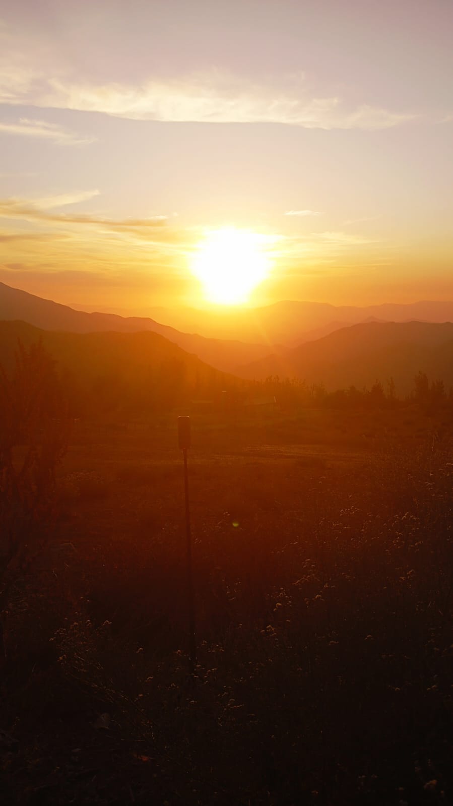 WhatsApp Image 2025-06-18 at 9.18.02 PM