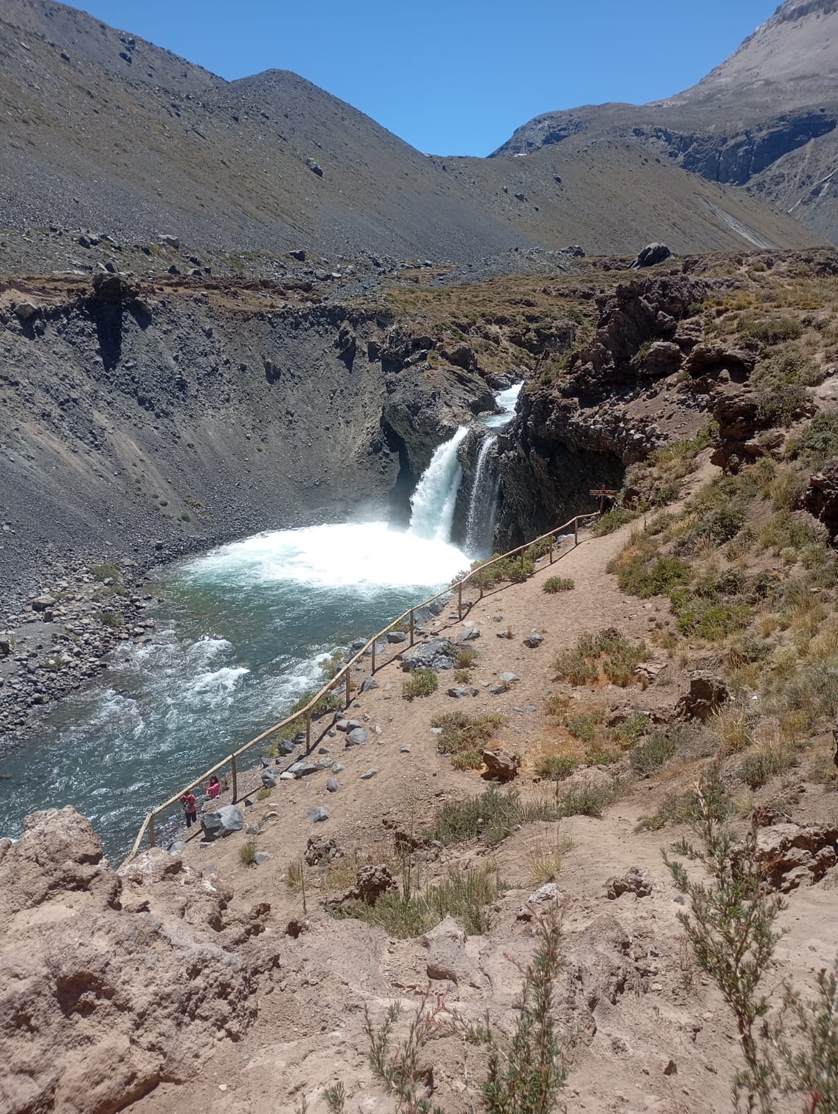 WhatsApp Image 2025-06-19 at 5.28.12 PM