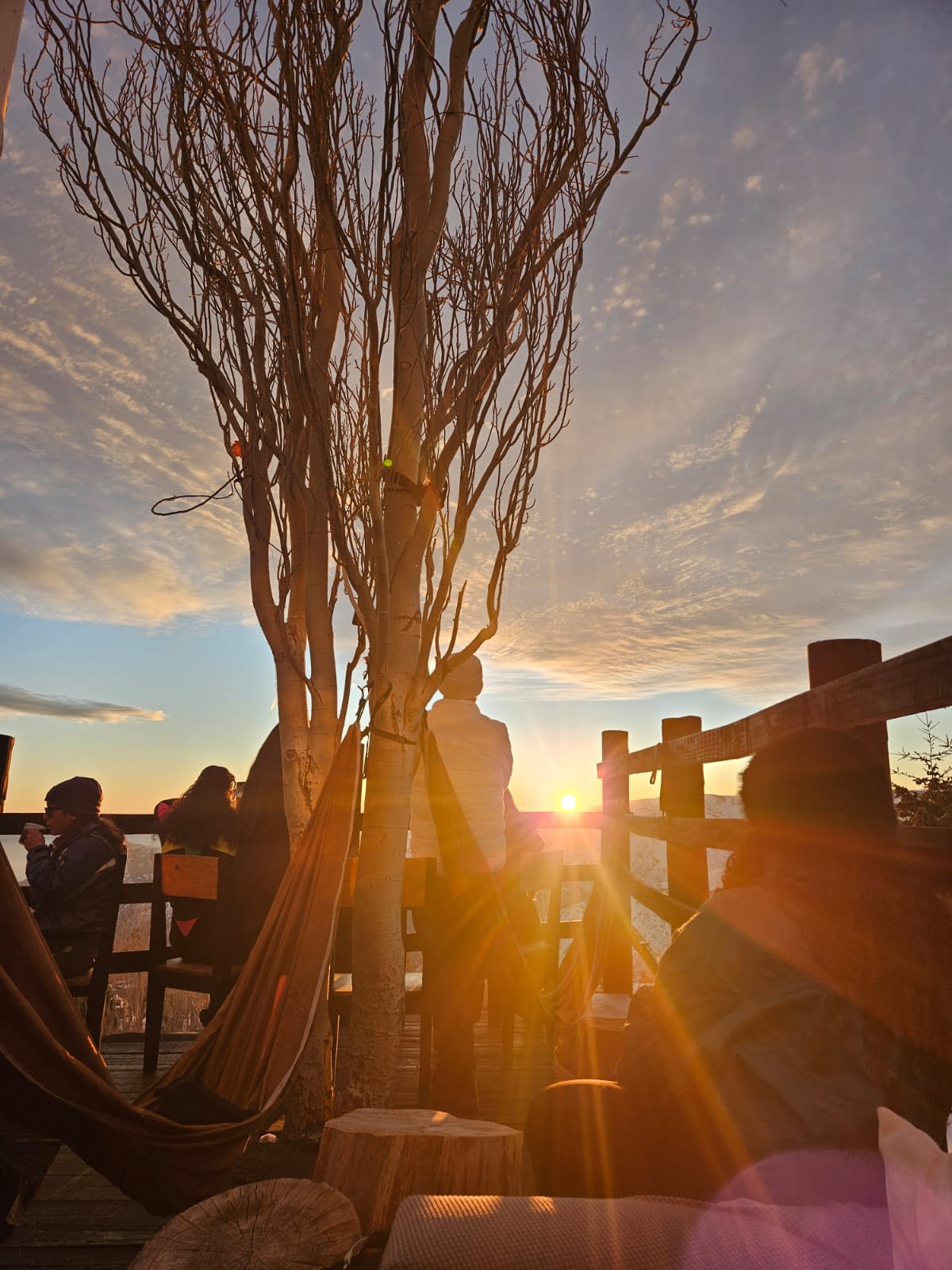 WhatsApp Image 2025-08-14 at 11.03.34 PM