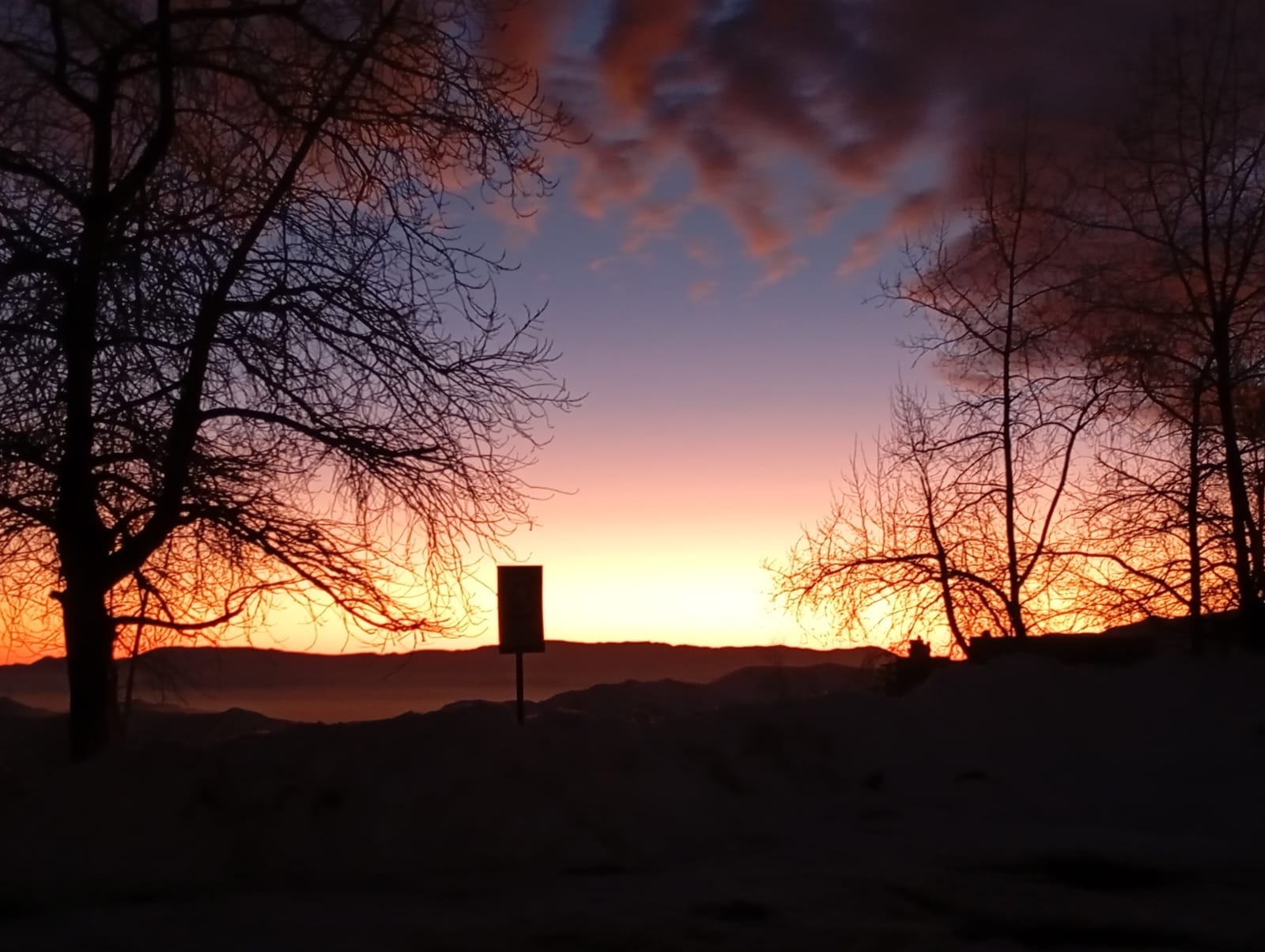 WhatsApp Image 2025-08-14 at 11.03.35 PM