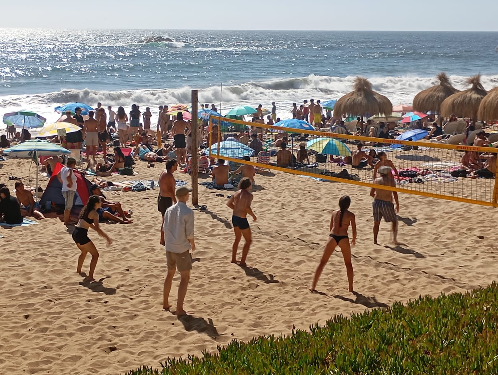 WhatsApp Image 2025-08-14 at 8.25.20 PM