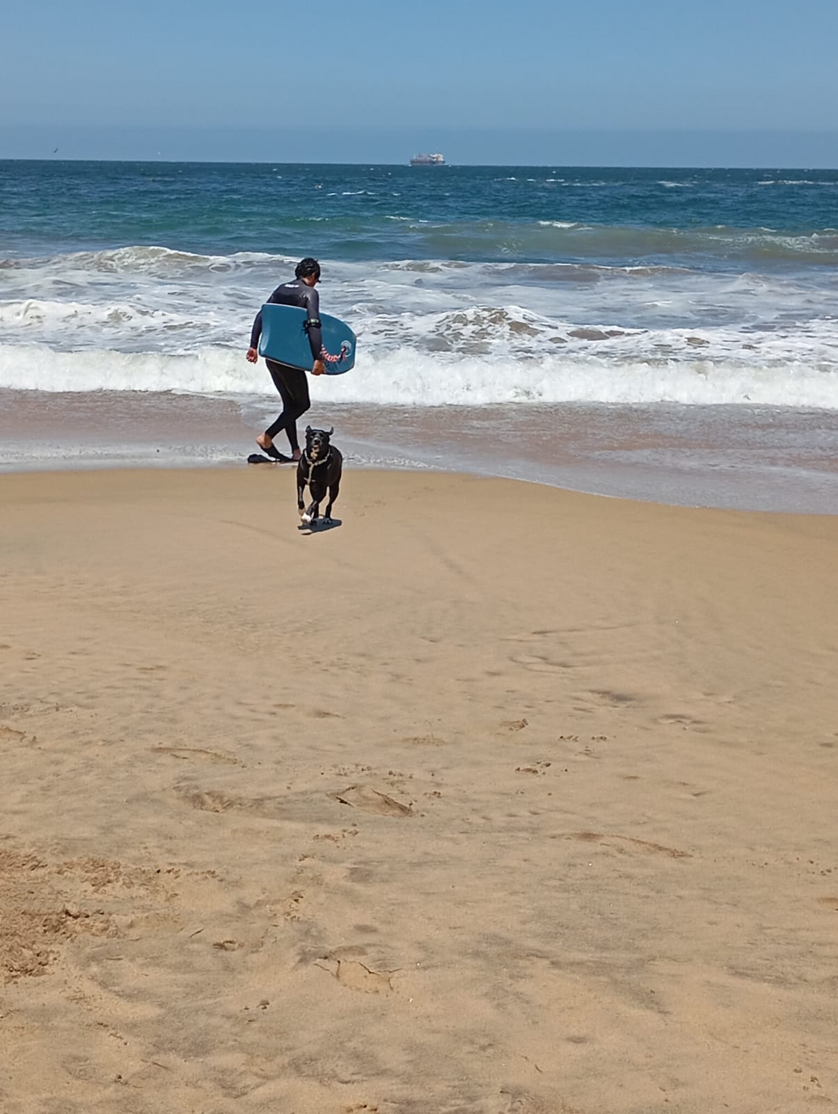 WhatsApp Image 2025-08-14 at 8.25.21 PM