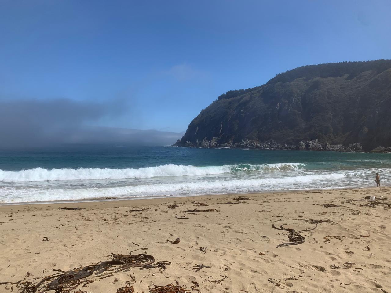 WhatsApp Image 2025-08-14 at 8.33.41 PM (1)