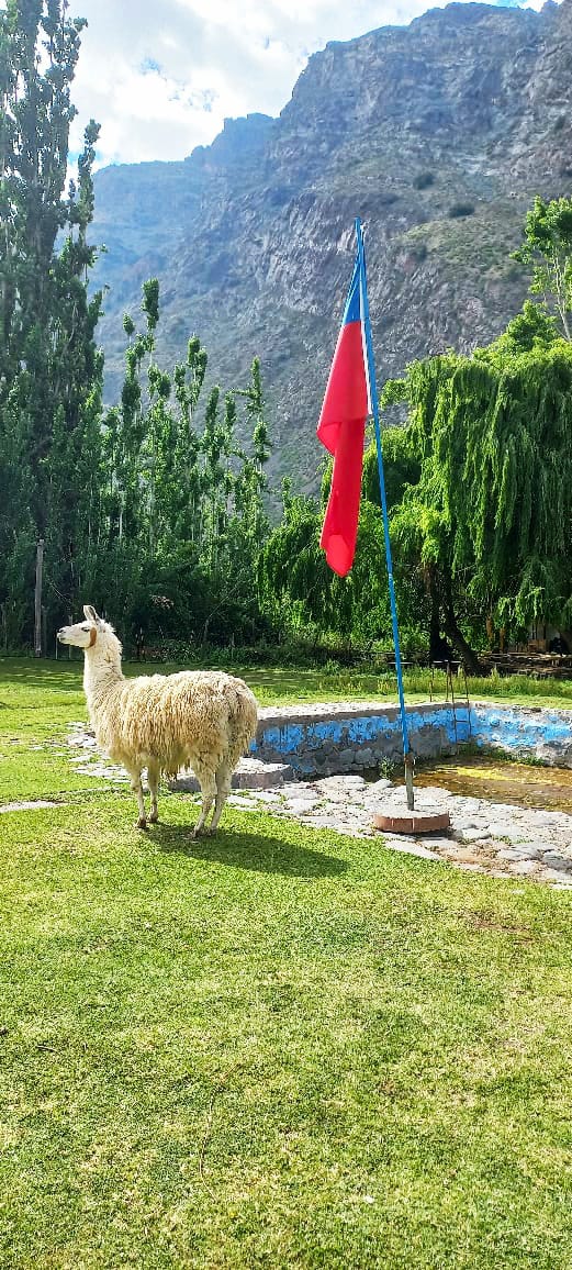 WhatsApp Image 2025-08-14 at 9.45.27 PM