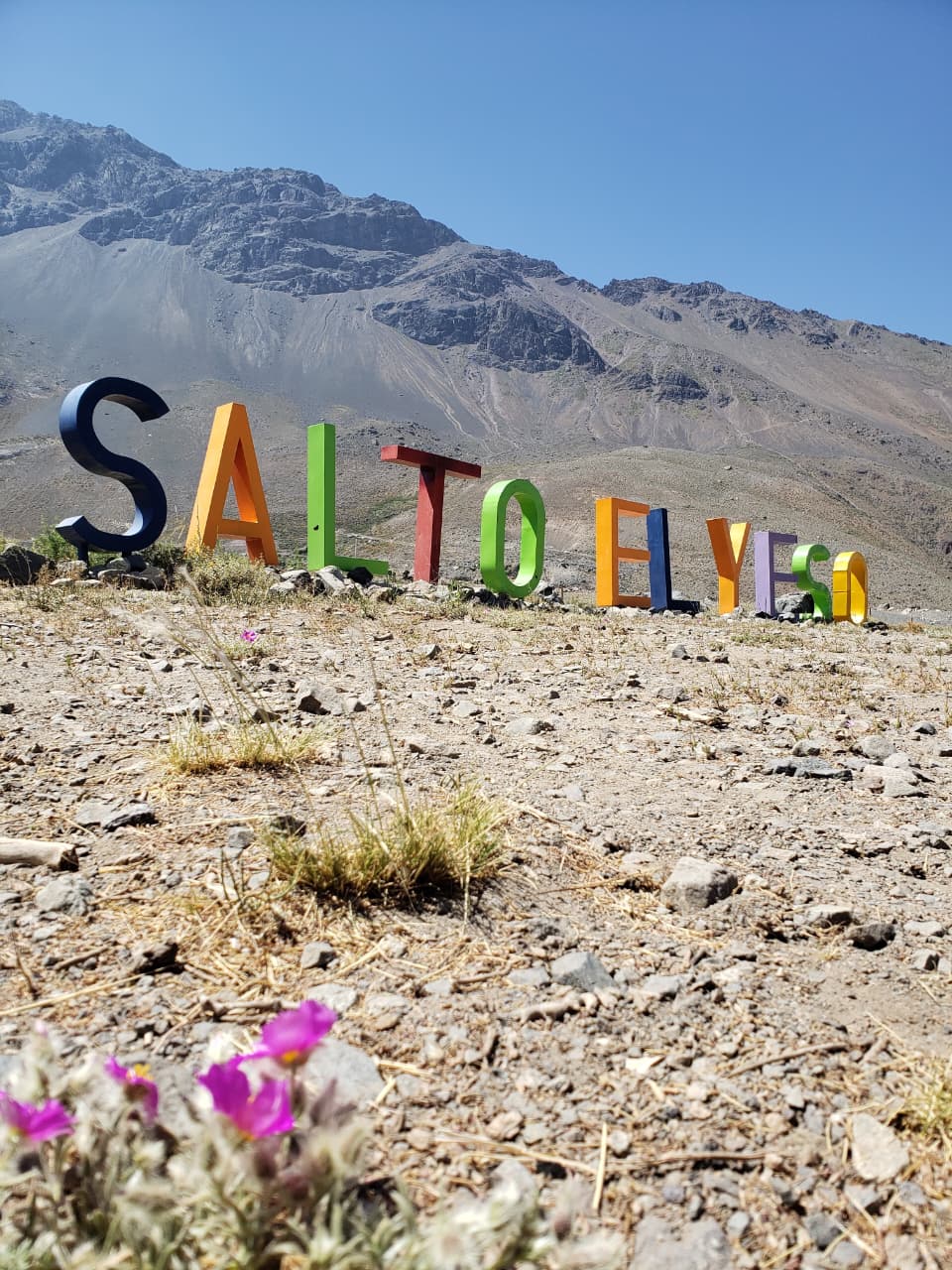 WhatsApp Image 2025-08-26 at 16.00.01