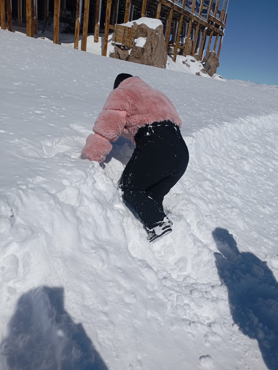 WhatsApp Image 2025-08-26 at 17.10.50 (1)