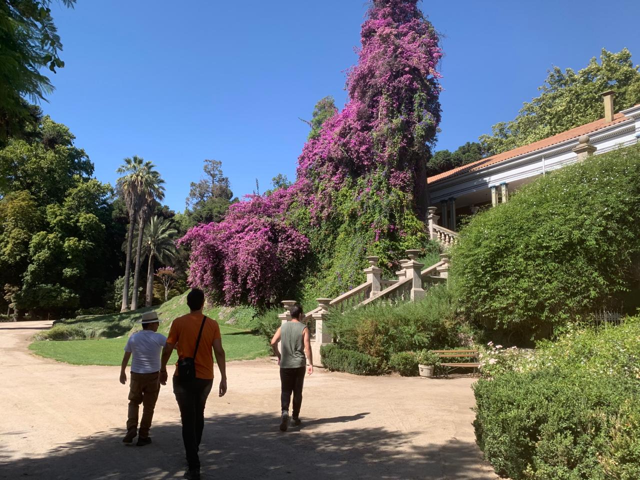 WhatsApp Image 2025-08-27 at 23.41.17 (3)