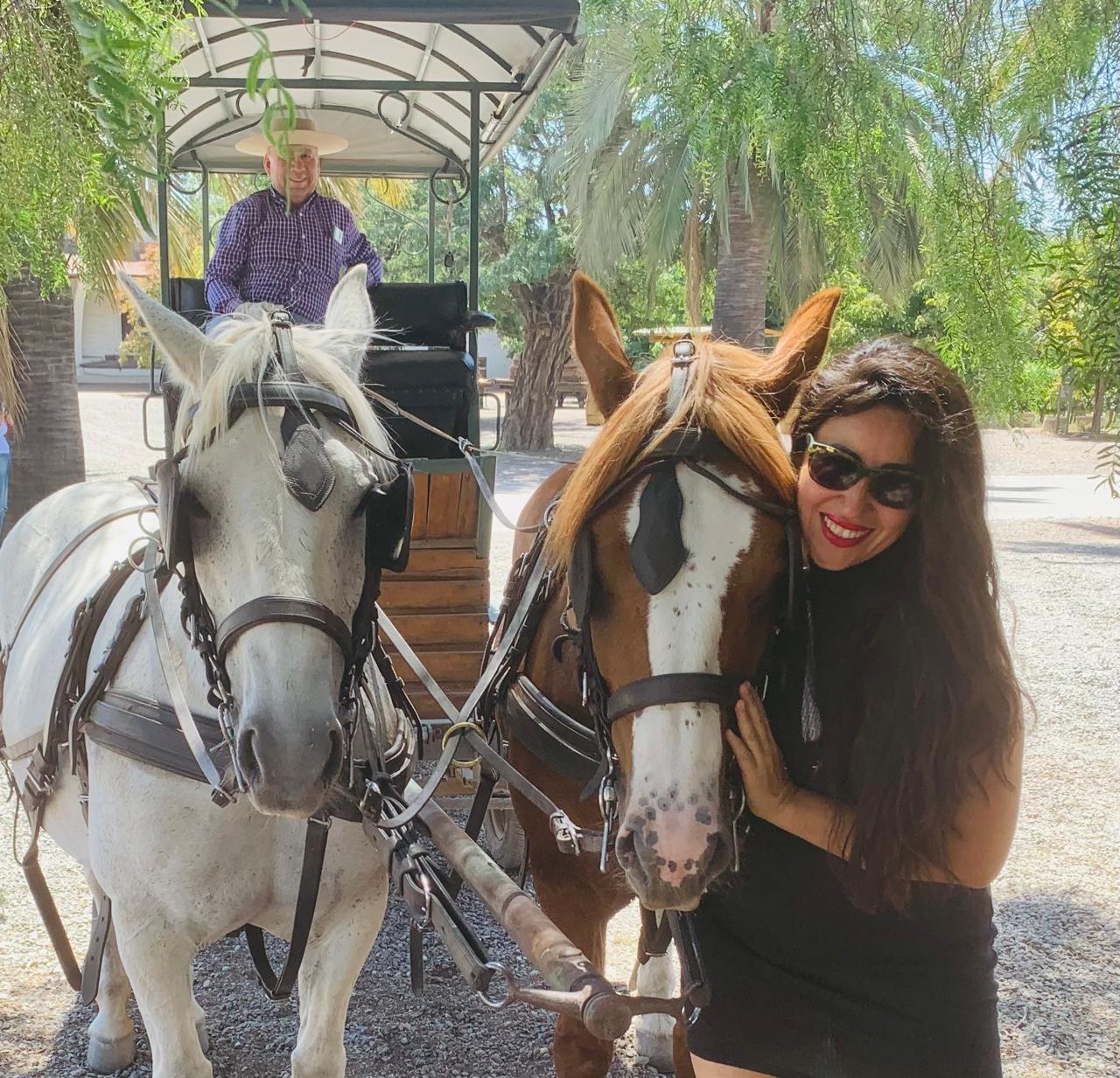 WhatsApp Image 2025-08-27 at 23.41.17