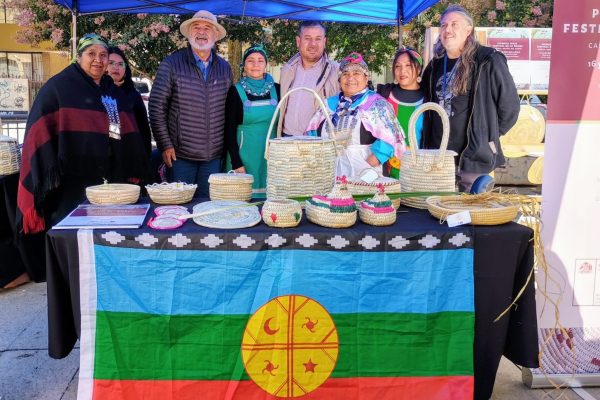 Pueblo mapuche 4