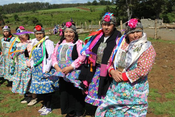 Pueblo mapuche 5