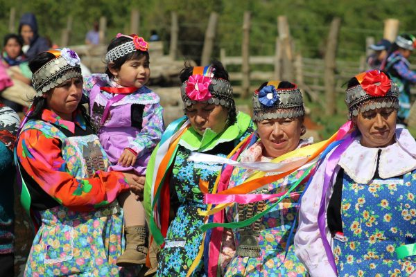 Pueblo mapuche