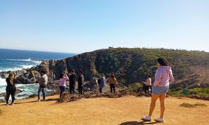 Isla Negra & San Alfonso del Mar