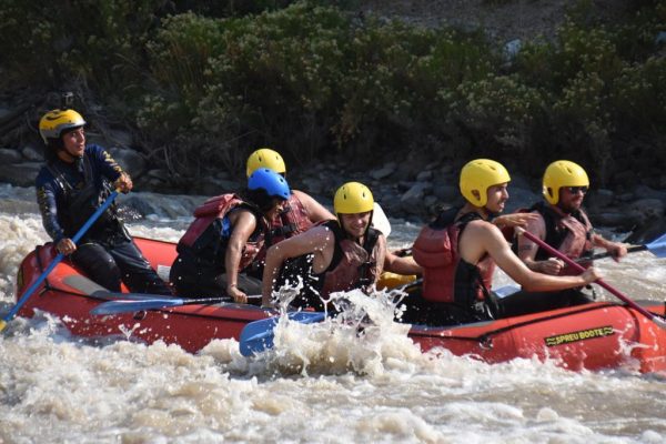 WhatsApp Image 2025-06-18 at 11.26.59 PM(3)