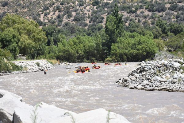 WhatsApp Image 2025-06-18 at 11.29.54 PM